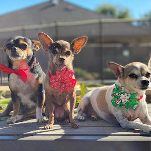 Meet your Posher, Ocean